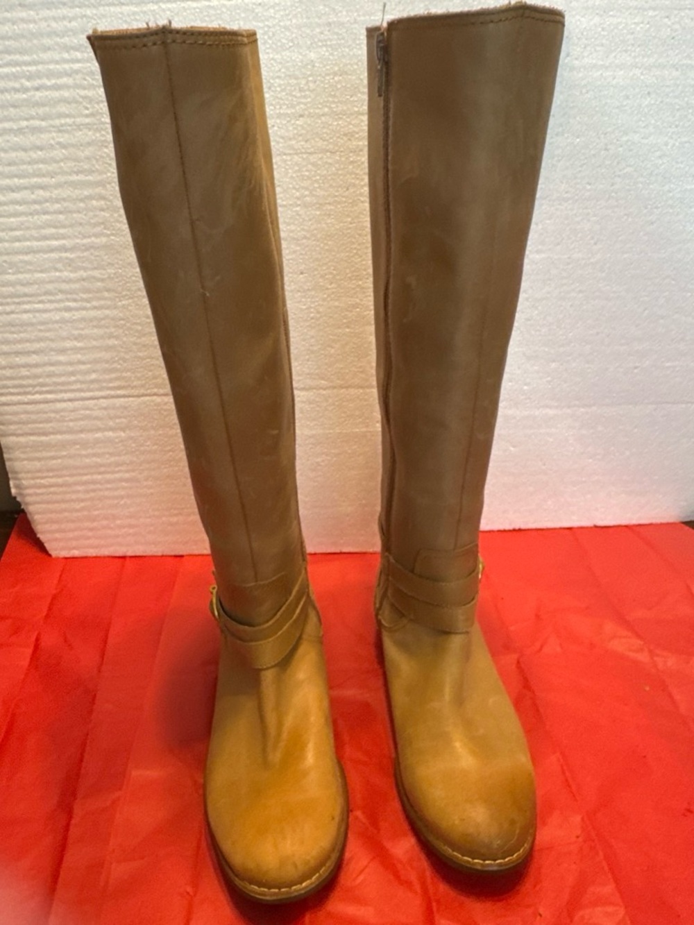 Sperry tall boots